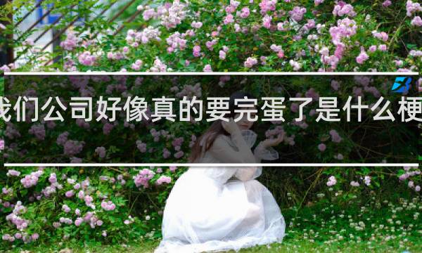 我们公司好像真的要完蛋了是什么梗什么梗