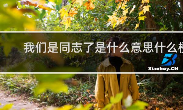 我们是同志了是什么意思什么梗