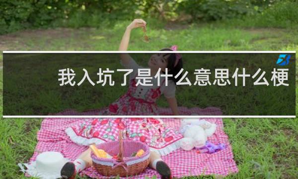 我入坑了是什么意思什么梗