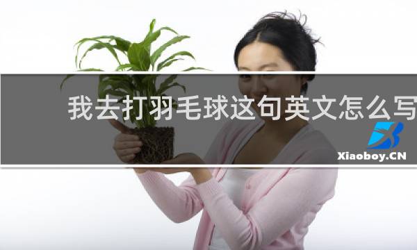 我去打羽毛球这句英文怎么写
