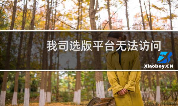 我司选版平台无法访问，请火速解决