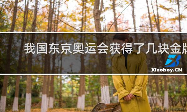 我国东京奥运会获得了几块金牌
