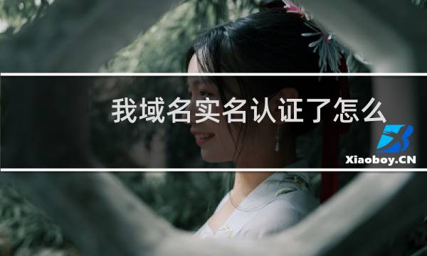 我域名实名认证了怎么总提示认证