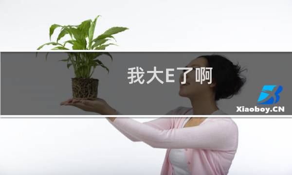 我大E了啊，没有E什么梗