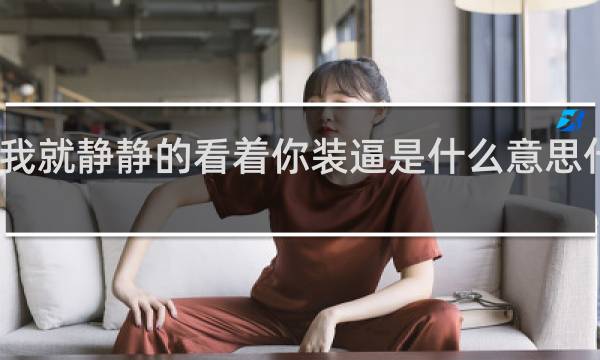 我就静静的看着你装逼是什么意思什么梗