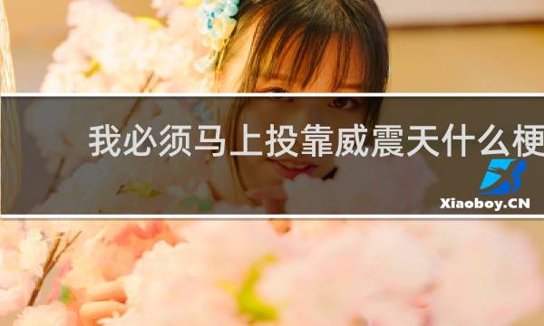 我必须马上投靠威震天什么梗
