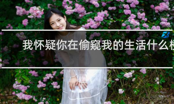 我怀疑你在偷窥我的生活什么梗