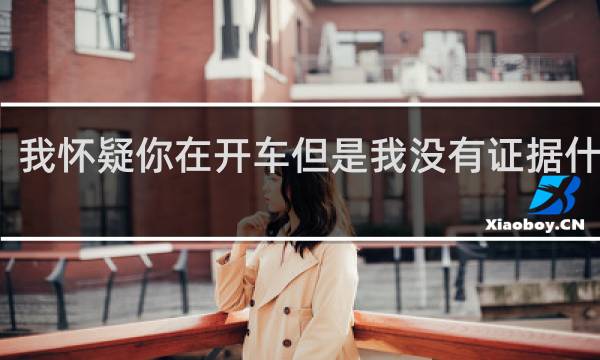 我怀疑你在开车但是我没有证据什么梗，我怀疑你在开车但是我没有证据是什么意思？什么梗