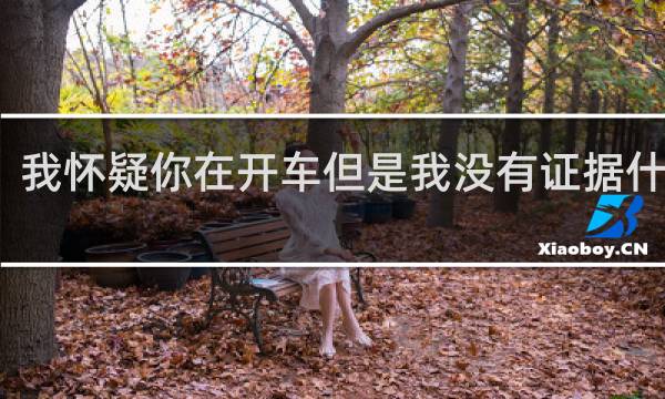 我怀疑你在开车但是我没有证据什么梗