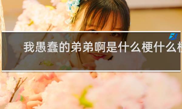 我愚蠢的弟弟啊是什么梗什么梗