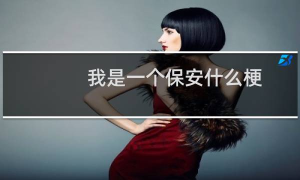 我是一个保安什么梗
