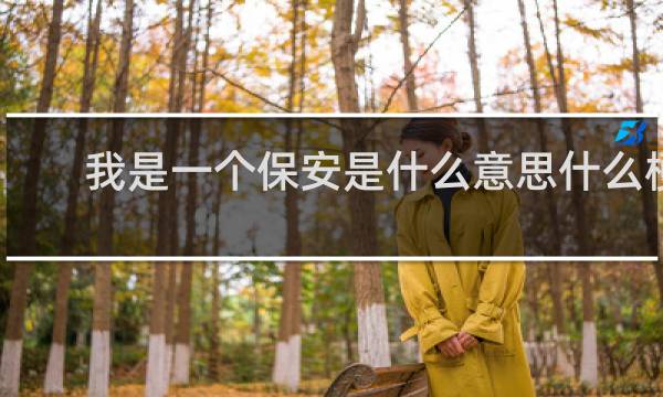 我是一个保安是什么意思什么梗