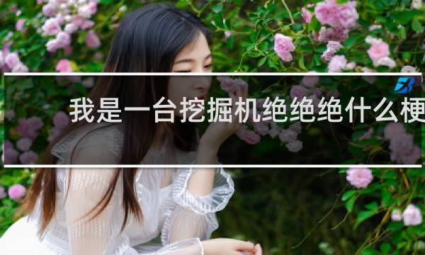 我是一台挖掘机绝绝绝什么梗