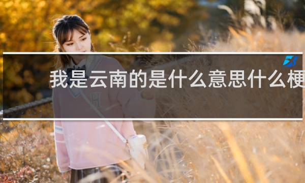 我是云南的是什么意思什么梗