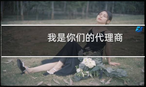 我是你们的代理商，过来反应接口问题