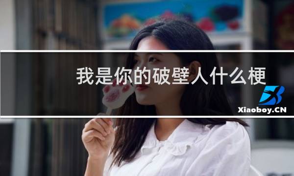 我是你的破壁人什么梗？我是你的破壁人是什么意思什么梗
