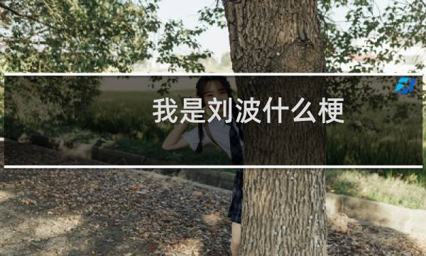 我是刘波什么梗