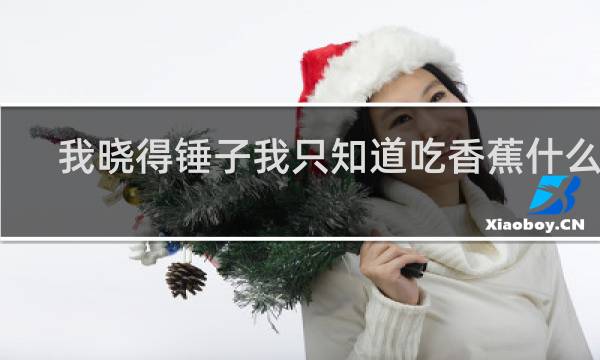 我晓得锤子我只知道吃香蕉什么梗？我晓得锤子我只知道吃香蕉是什么意思什么梗