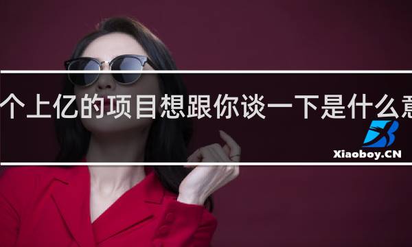 我有个上亿的项目想跟你谈一下是什么意思什么梗