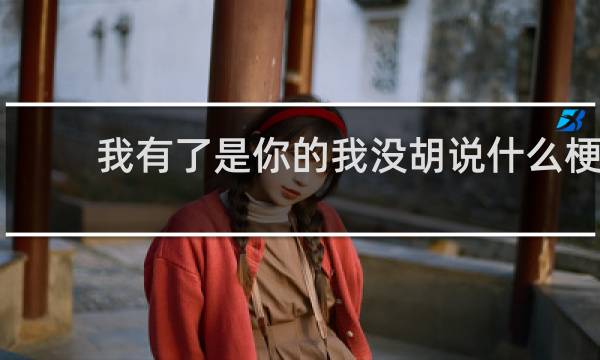 我有了是你的我没胡说什么梗
