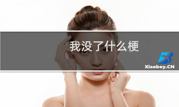 我没了什么梗