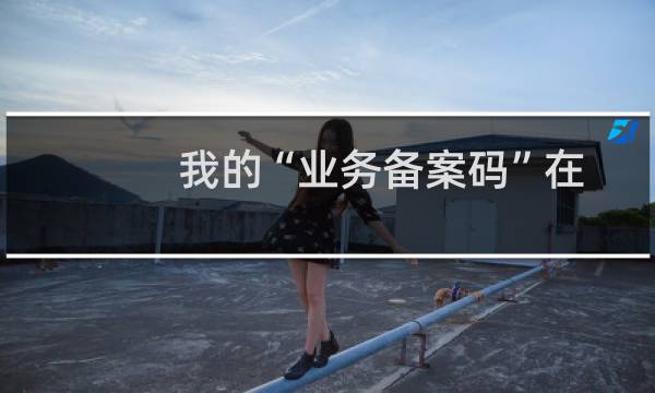 我的“业务备案码”在哪里可以看到