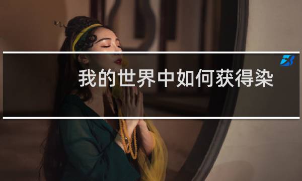 我的世界中如何获得染料