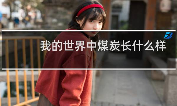 我的世界中煤炭长什么样图片