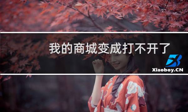 我的商城变成打不开了-云服务器问题