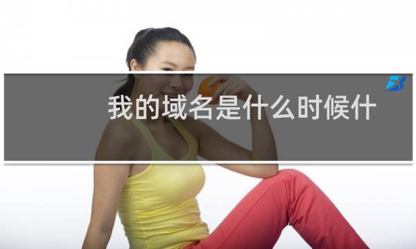 我的域名是什么时候什么时候被抢注的？