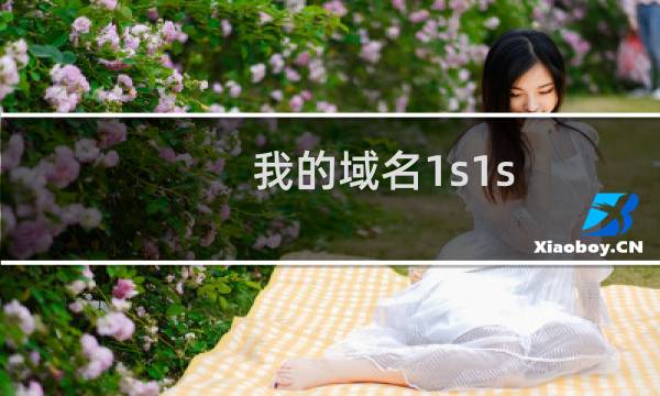 我的域名1s1s.pro所有人怎么变成何青玉了？