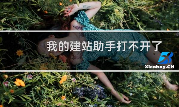 我的建站助手打不开了-云服务器问题
