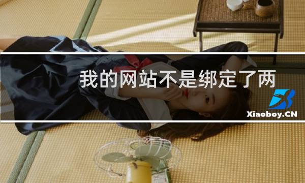 我的网站不是绑定了两个域名吗，账户里怎么看说没绑定啊