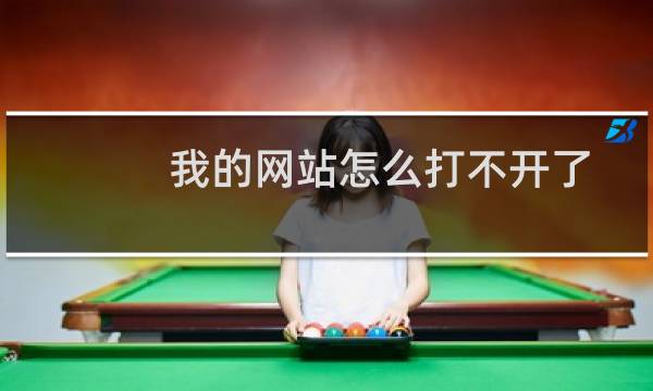 我的网站怎么打不开了,急用!!