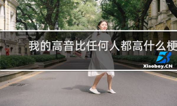 我的高音比任何人都高什么梗