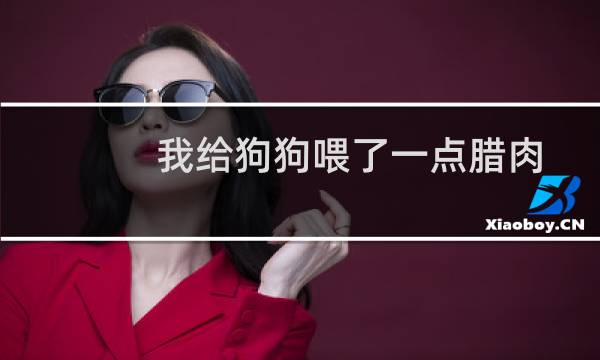 我给狗狗喂了一点腊肉有事吗（我给狗狗做衣服）图片