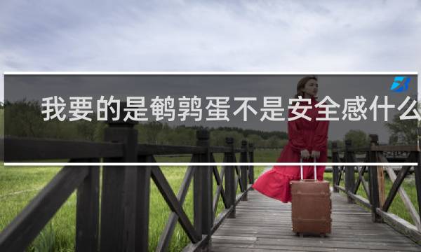 我要的是鹌鹑蛋不是安全感什么梗