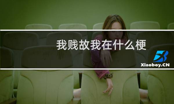 我贱故我在什么梗