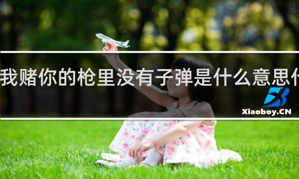 我赌你的枪里没有子弹是什么意思什么梗