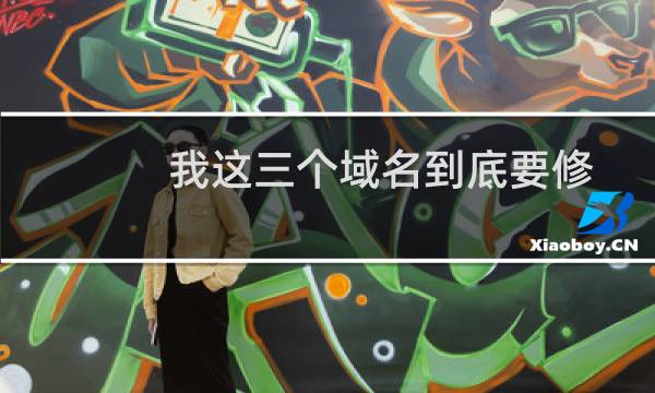 我这三个域名到底要修改多少次才能过啊？