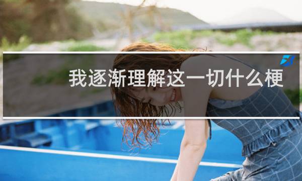 我逐渐理解这一切什么梗