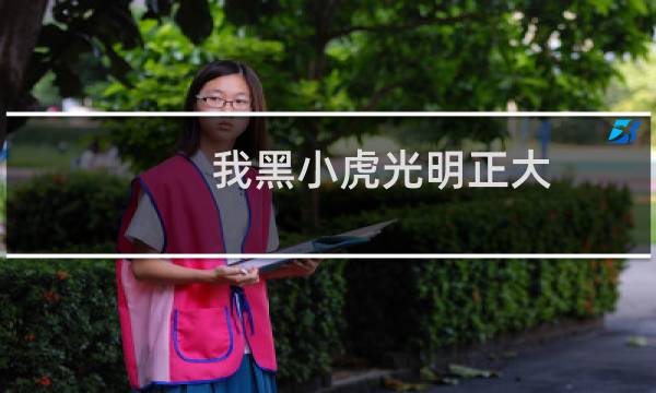 我黑小虎光明正大 出自黑小虎台词什么梗