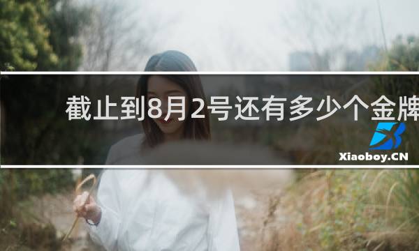 截止到8月2号还有多少个金牌