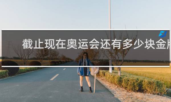 截止现在奥运会还有多少块金牌