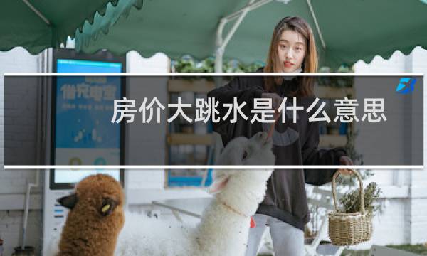 房价大跳水是什么意思