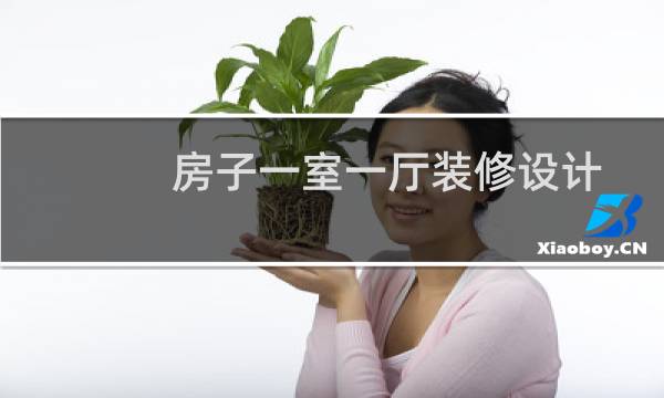 房子一室一厅装修设计图片