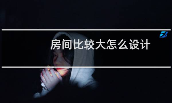 房间比较大怎么设计图片