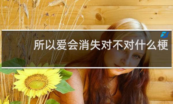 所以爱会消失对不对什么梗