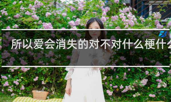 所以爱会消失的对不对什么梗什么梗