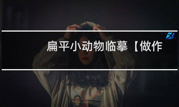 扁平小动物临摹【做作业】